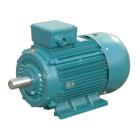 3-PH INDUCTION MOTOR