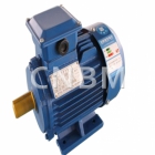 GEARED MOTOR