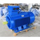 Three phase induction motor